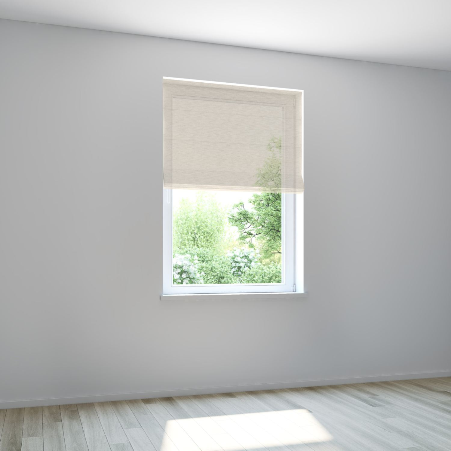 Core view 4